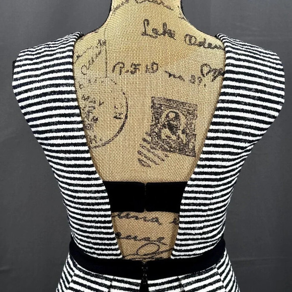 BCBGMaxazria Dress Women 2 Black White Striped Piper Sleeveless Zip Peplum Party - Picture 9 of 13